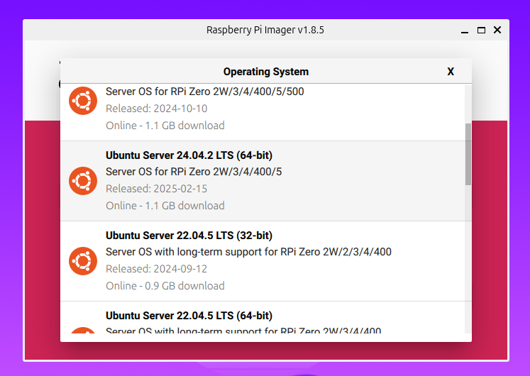 Choosing Ubuntu Server 24.04